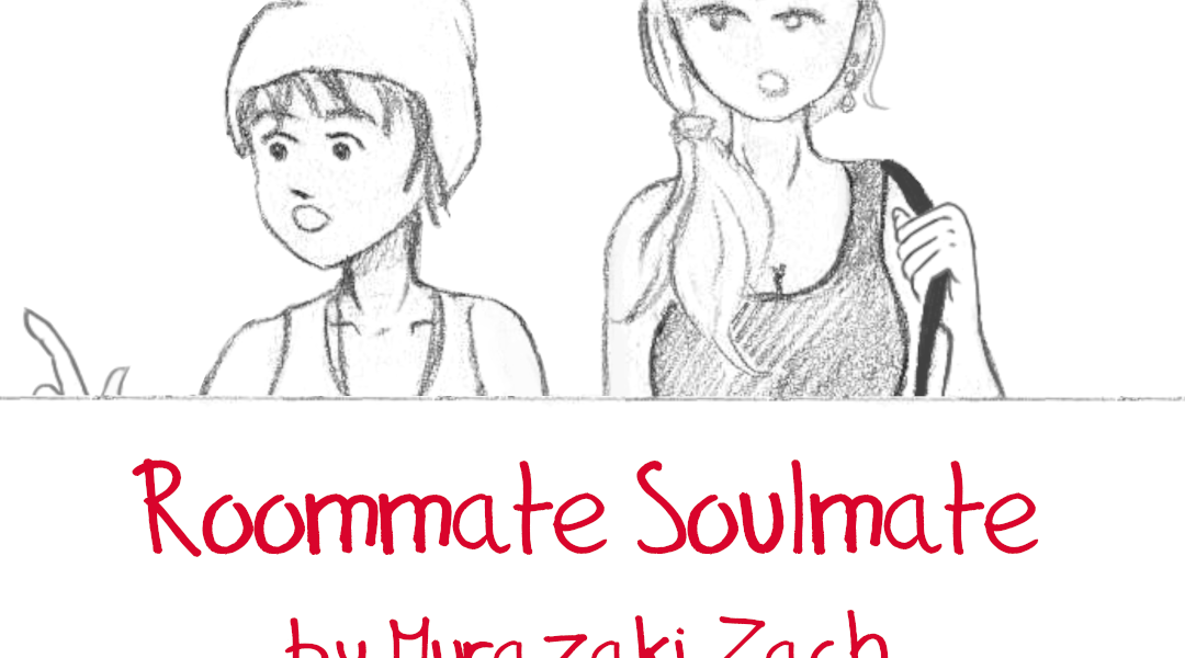 Roommate Soulmate is now for sale !