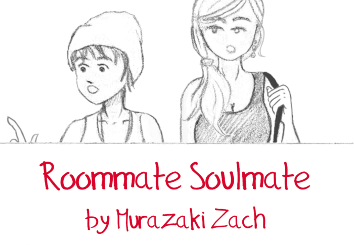 Roommate Soulmate is now for sale !